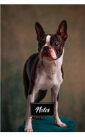 Boston Terrier Dog Pup Puppy Doggie Notebook Bullet Journal Diary Composition Book Notepad - Proud Pose: Cute Animal Pet Owner Composition Book with 100 Dotted Dot Grid Paper Pages in 6" x 9" Inch