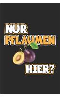 Nur Pflaumen hier?: Notizbuch mit lustigem Spruch - Geschenk-Idee für Komiker & Pubertierende - Karo - A5 - 120 Seiten