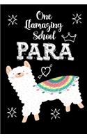 One llamazing School Para