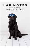 2020 & 2021 Two-Year Weekly Planner For Labrador Retriever Pet Dog Owner - Cute Lab Pun Appointment Book Gift - Two Year Agenda Notebook: Starts November 2019 - Month Calendar: 2 Years of Monthly Plans - Daily Logbook - Personal Goal Day Organizer
