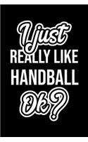 I Just Really Like Handball Ok?: Christmas Gift for Handball lover - Funny Handball Journal - Nice 2019 Christmas Present for Handball - 6x9inch 120 pages
