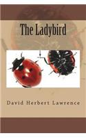 The Ladybird