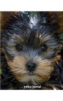Yorkie Journal