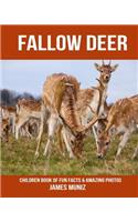 Fallow Deer: Children Book of Fun Facts & Amazing Photos