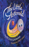 Little Asteroid