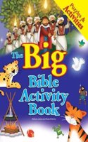 Big Bible Activity Book