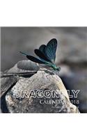 Dragonfly Calendar 2018
