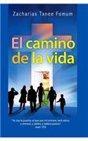 Camino de la Vida