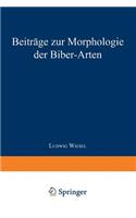 Beiträge zur Morphologie der Biber-Arten