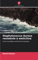 Staphylococcus Aureus resistente à meticilina