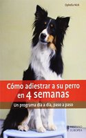 Como adiestrar a su perro en 4 semanas