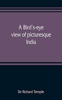 bird's-eye view of picturesque India