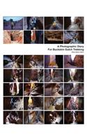 A Photographic Diary For Buckskin Gulch Trekking