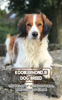 Kooikerhondje Dog Breed
