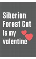 Siberian Forest Cat is my valentine