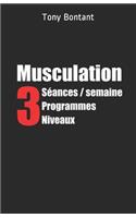 Musculation
