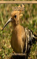 Hoopoe: An Amazing Animal Picture Book about Hoopoe for Kids