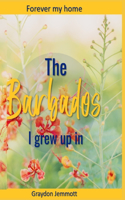 Barbados I grew up in: A collection of memories