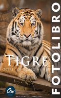 Tigre: Fotolibro(Fotolibro - Oltre 100 Immagini HD)