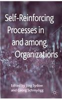 Self-Reinforcing Processes in and Among Organizations