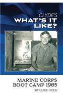 Clyde's What's it like in Marine Corps Boot Camp 1965