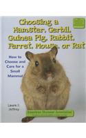 Choosing a Hamster, Gerbil, Guinea Pig, Rabbit, Ferret, Mouse, or Rat