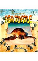 The Life Cycle of the Sea Turtle