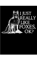 I Just Really Like Foxes OK?