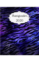 Planificador 2020