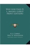 Why God Used D. L. Moody (LARGE PRINT EDITION)