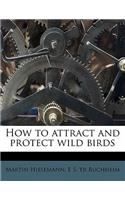 How to Attract and Protect Wild Birds
