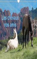 Les Chevaux Nos Amis 2017