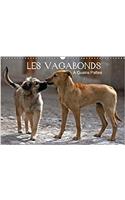 Les Vagabonds A Quatre Pattes. 2018: Des Photos Inhabituelles De Nos Compagnons a Quatre Pattes.(Calvendo Animaux)
