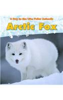 Arctic Fox