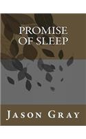 Promise of Sleep