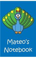 Mateo's Notebook