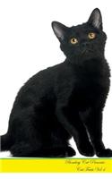 Bombay Cat Presents: Cat Facts Workbook. Bombay Cat Presents Cat Facts Workbook with Self Therapy, Journalling, Productivity Tracker with Self Therapy, Journalling, Productivity Tracker Workbook. Includes: Space for Notes, to Do Lists, Brainstorms.