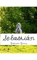 Sebastian: El Gran Campeon