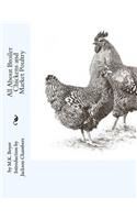 All About Broiler Chickens and Market Poultry