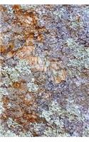 Stone Surface Journal: (Notebook, Diary, Blank Book)