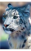 Snow Leopard Notebook: Blank Journal Diary Log(50 Wildlife 150 Lined)