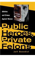 Public Heroes, Private Felons