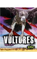 Vultures