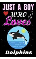 Just a Boy who loves Dolphins: Dolphins Lover notebook or dairy, Perfect Dolphins lovers Notebook gift for Boy