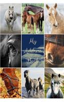 My Address Book: Horse Cover - Address Book for Names, Addresses, Phone Numbers, E-mails and Birthdays