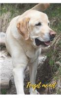 Forget Me Not: Cute Labrador for pet lover.Internet Password Logbook with alphabetical tabs.Personal Address of websites, usernames, passwords notebook/Journal/Org