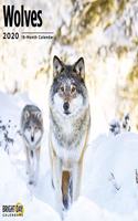 WOLVES WALL CALENDAR 2020