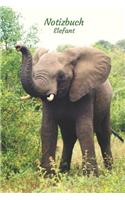 Notizbuch Elefant