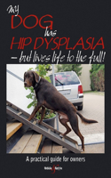 My Dog Has Hip Dysplasia