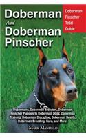 Doberman and Doberman Pinscher